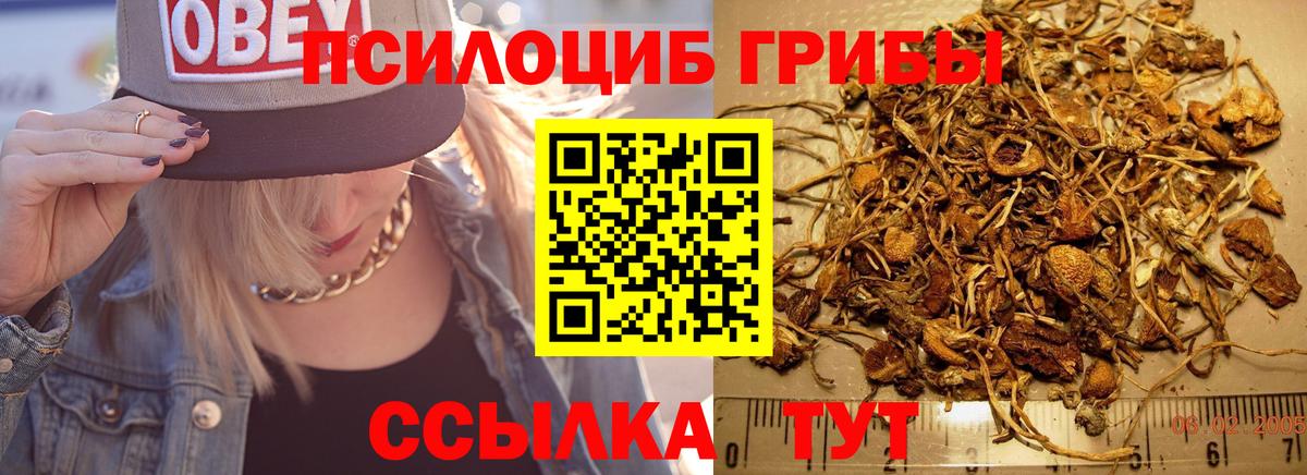 Галлюциногенные грибы мицелий Ялта