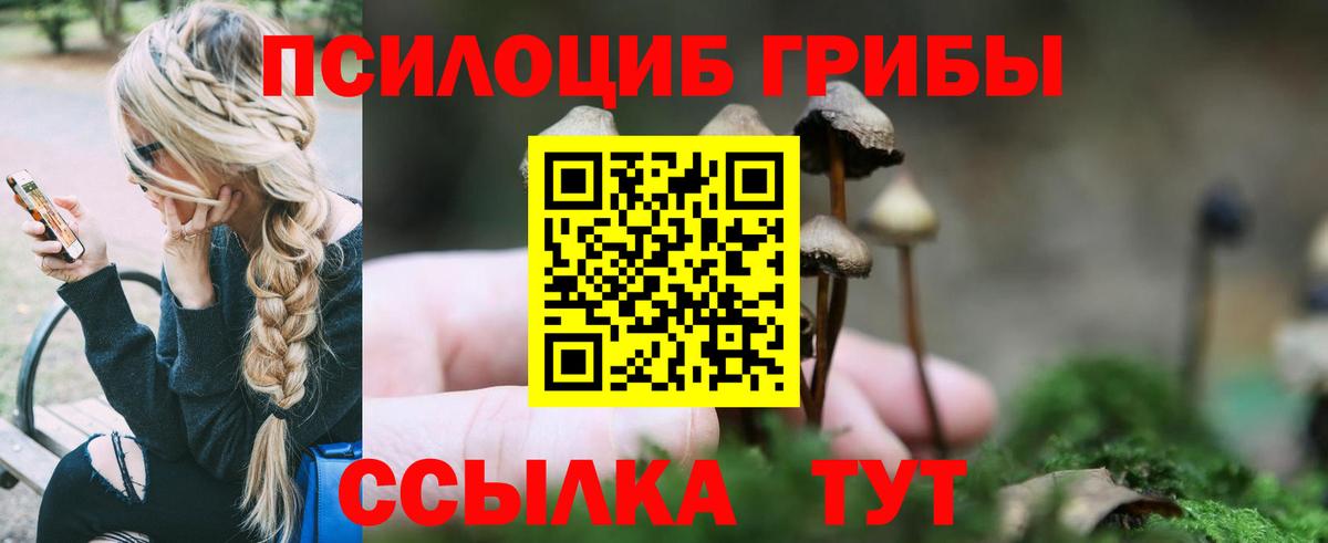 Ялта  Псилоцибиновые грибы прущие грибы  Вход с VPN  Галлюциногенные грибы Magic Shrooms 
